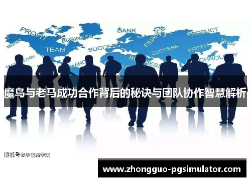 魔鸟与老马成功合作背后的秘诀与团队协作智慧解析