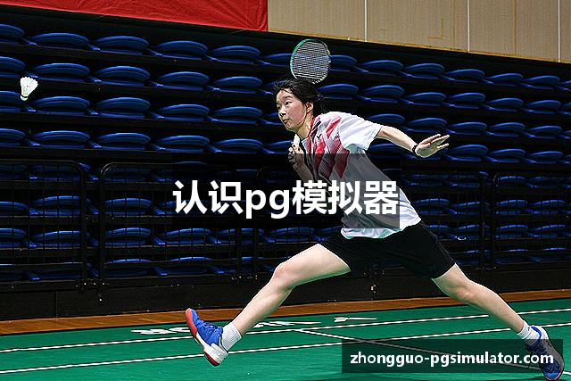 认识pg模拟器